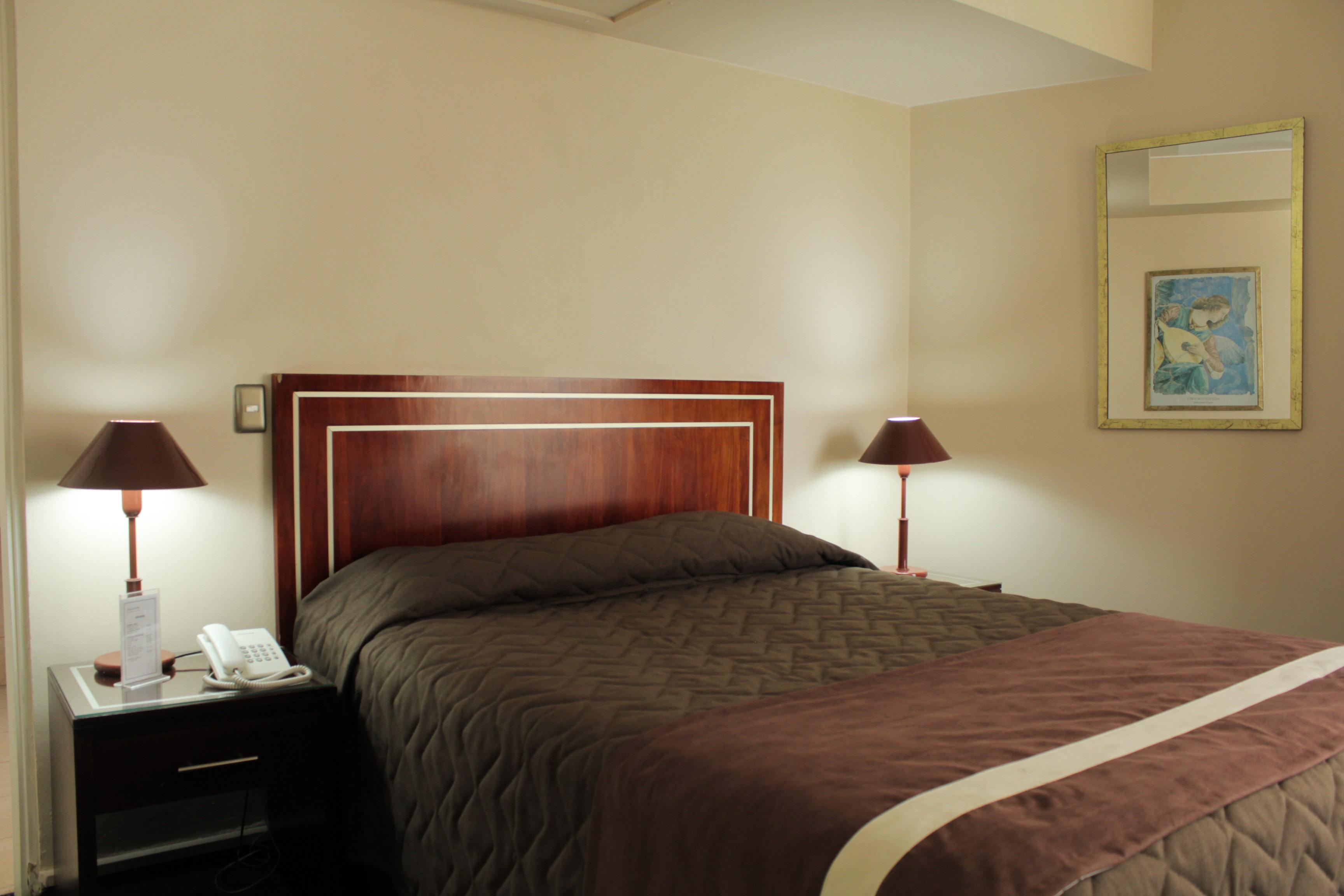 Hotel Leonardo Da Vinci Santiago de Chile Eksteriør billede